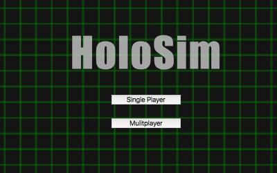 HoloSim