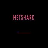 NetShark